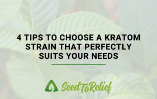 4 Tips To Choosing a Kratom Strain That Perfectly Suits Your Needs