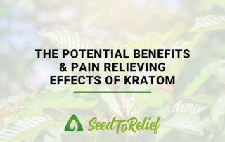 The Potential Benefits & Pain Relieving Effects Of Kratom