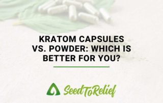 Kratom Capsules vs. Powder Which Is Better For You
