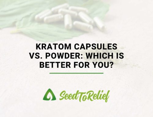 Kratom Capsules vs. Powder: Which Is Better For You?