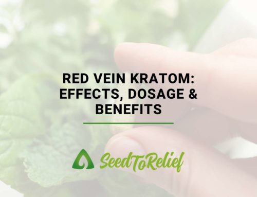 Red Vein Kratom: Effects, Dosage & Benefits