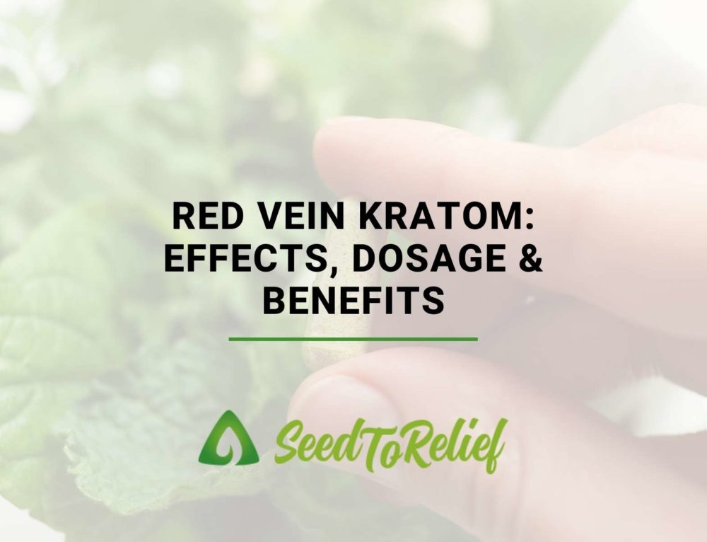 Things To Know Before Using Kratom As A Sexual Stimulant 4201